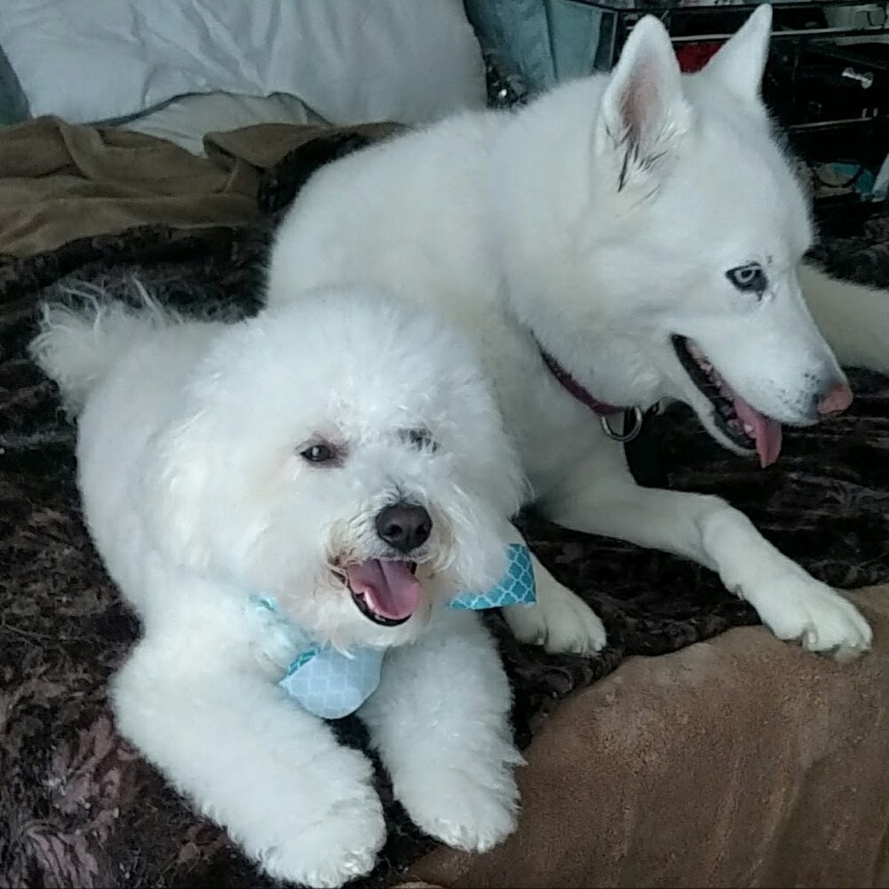 Meet your Posher, Narine